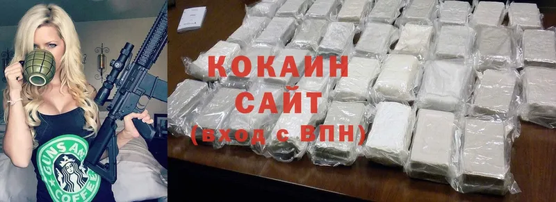 COCAIN FishScale  наркотики  нарко площадка телеграм  Высоковск 